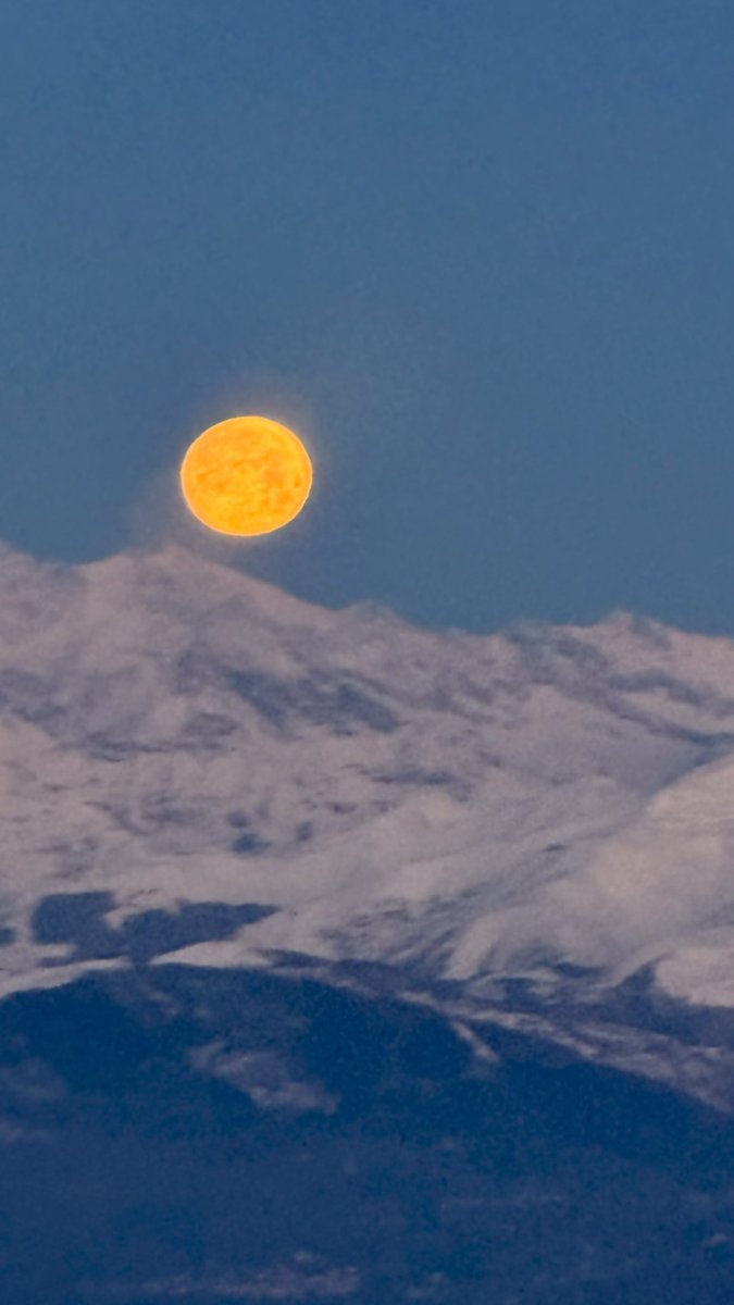 𝓻𝓮𝓪𝓵𝓭𝓪𝓷𝓷𝓷𝓪𝓵𝓮𝓼𝓼𝓪𝓷𝓭𝓻𝓸🐬 tweet media