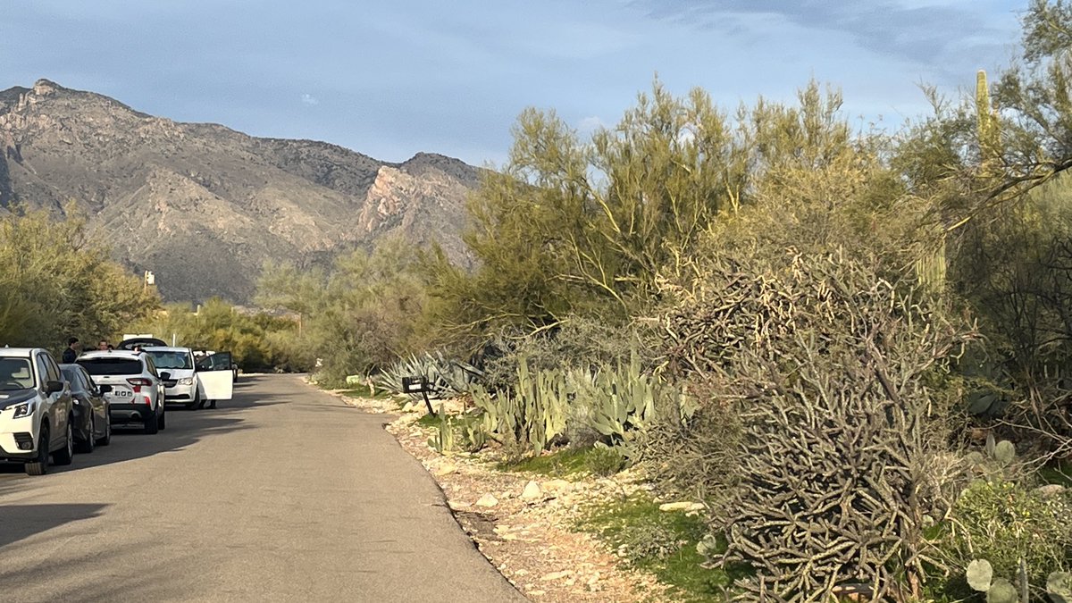 Steve Nielsen FOX 10 tweet media