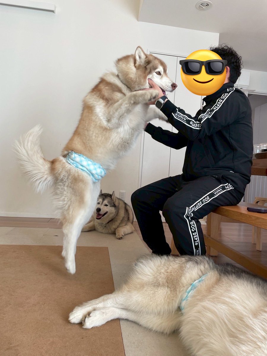 茶々丸チャチャチャ👐 (@chacha_maru1113) / Posts / X