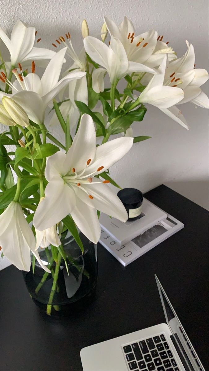 Casa Verde tweet media