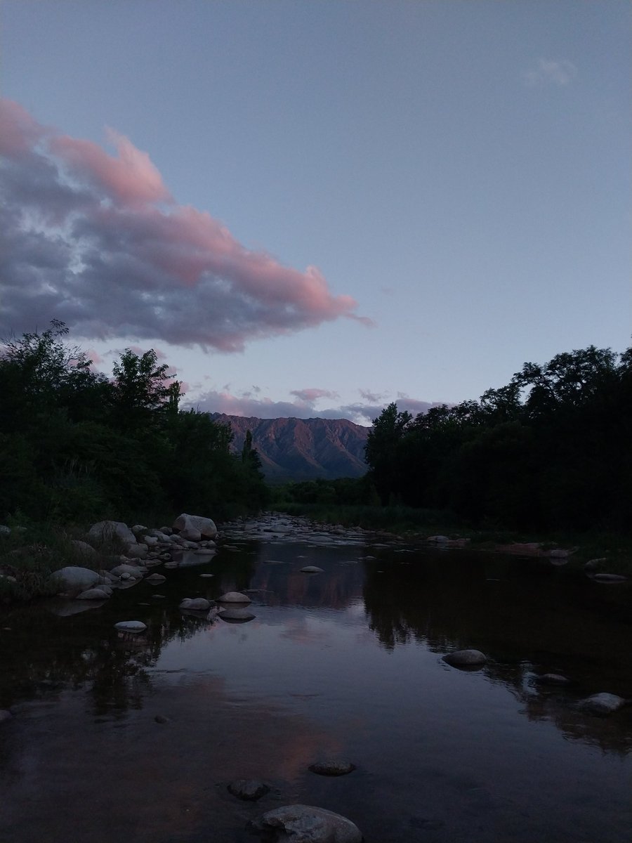 wachin promesa 🧘‍♂ tweet media