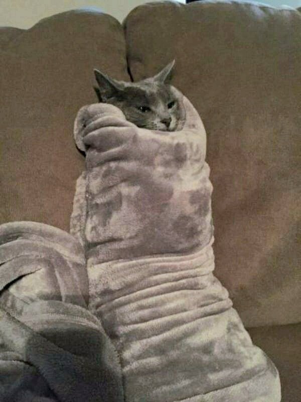 lynda3035's tweet photo. Got a sore throat and a cold ๐ฎโ๐จ๐ท๐คง excuse me #TimeToRest ๐๐ป๐ซ๐ต https://t.co/SEmEV3Yh20