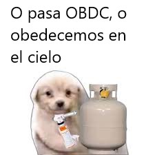 ³Pedro 🏹🪳🐺🚨 tweet media