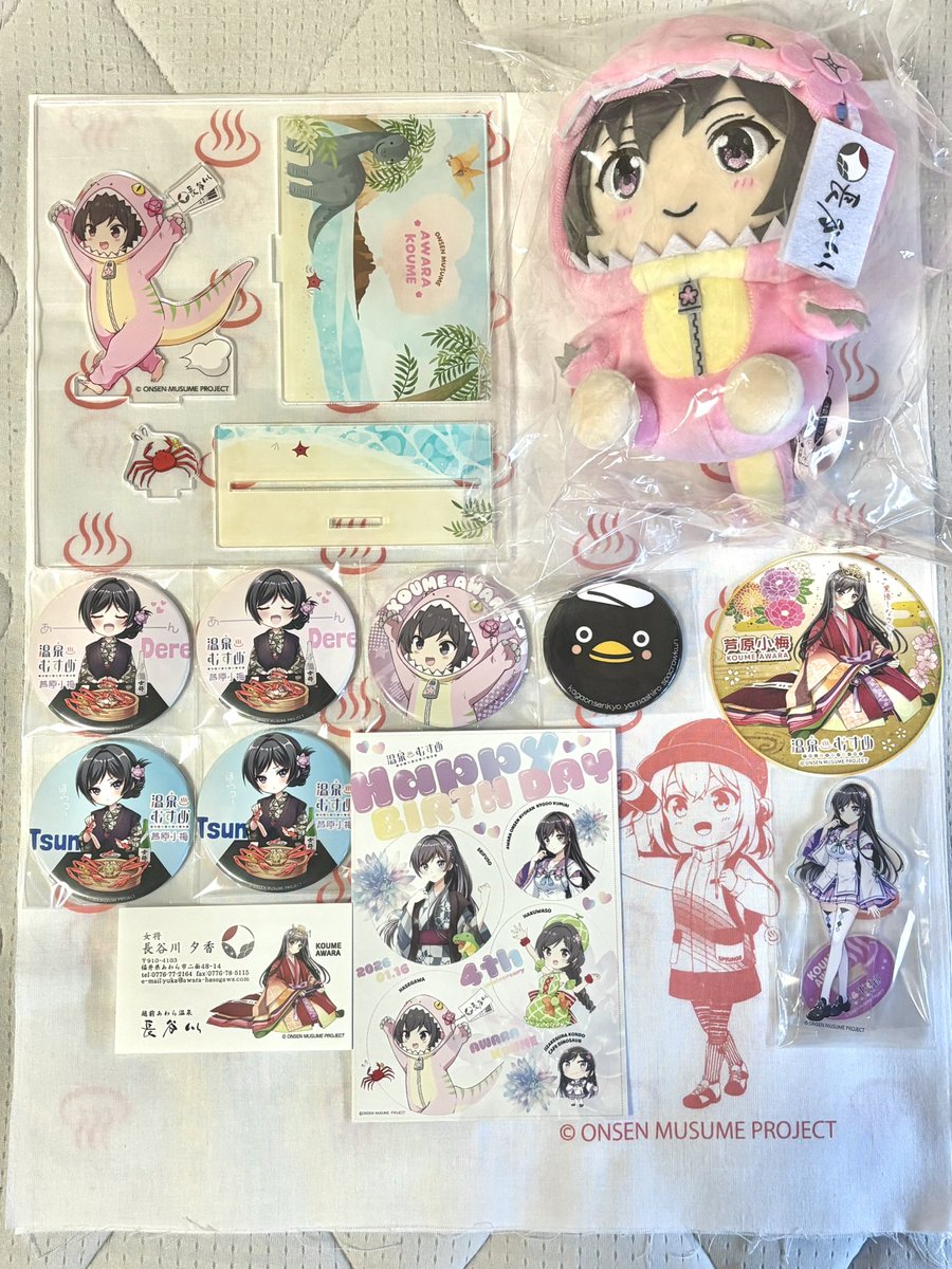 無事帰宅〜 今回は小梅ちゃん祭り✨ ぬいぐるみも無事ゲットできて