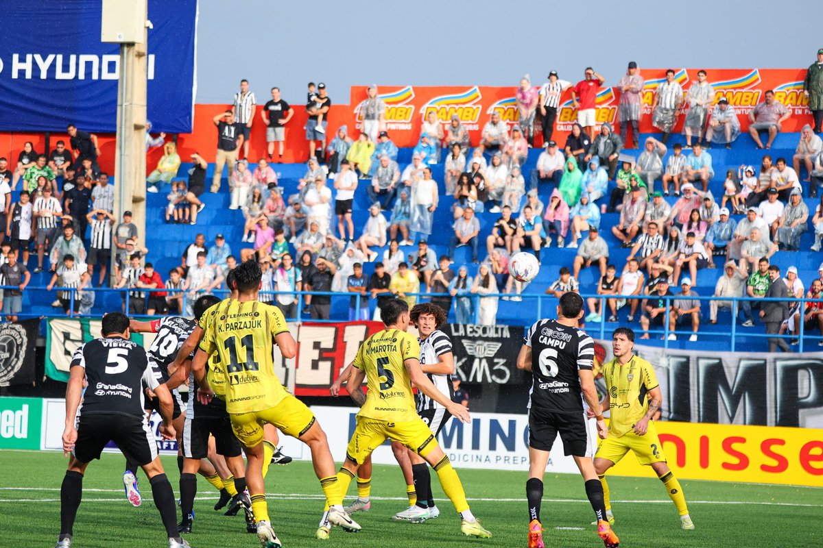 Revista El Repollero tweet media