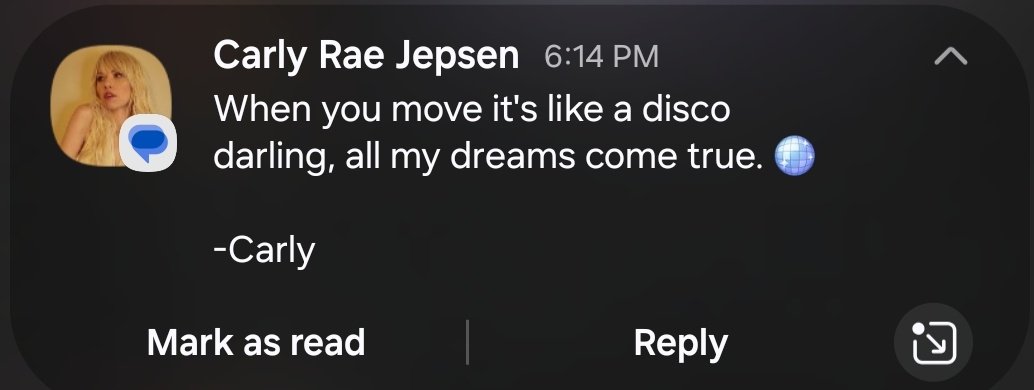 dumbgayshit's tweet photo. SECURE YOUR WIG SIS CARLY RAE JEPSEN IS COMING https://t.co/TkRUgzedgX