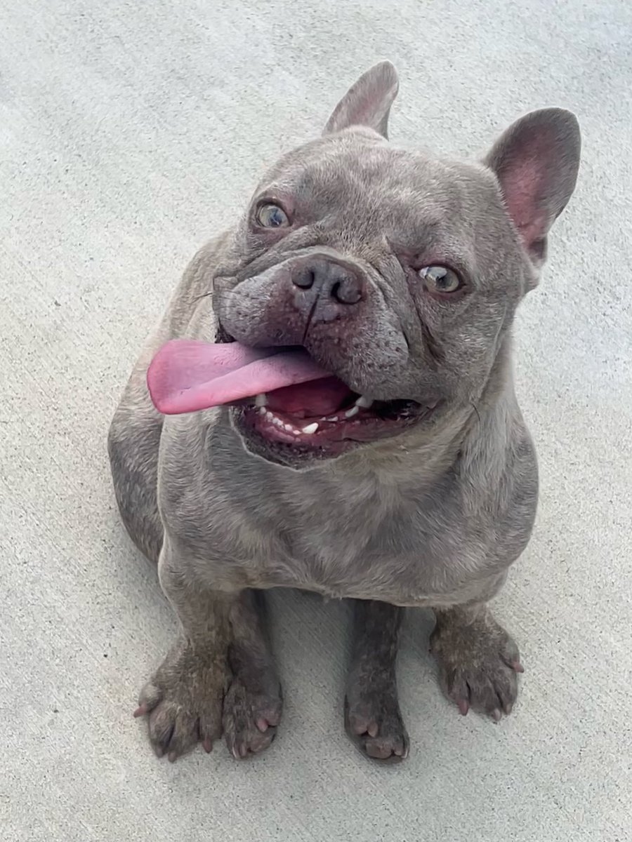 KoffeeKandi tweet media