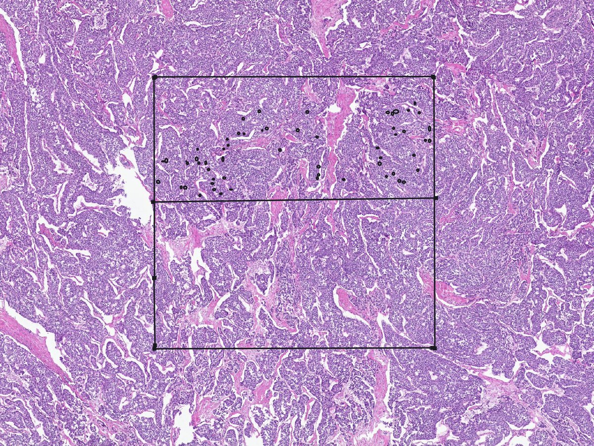 A. Sarah Erem tweet media