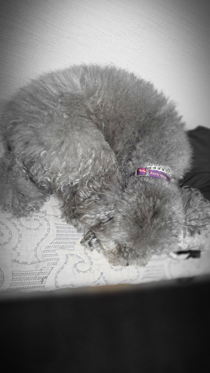 누군가에게 
시간을  들인다는건

다시는 
돌려 받지 못하는
삶의 일부를  
주는것이다.

배려해주는것이
자신의 
권리인양
당당하게
여기는건

무지함의 ..