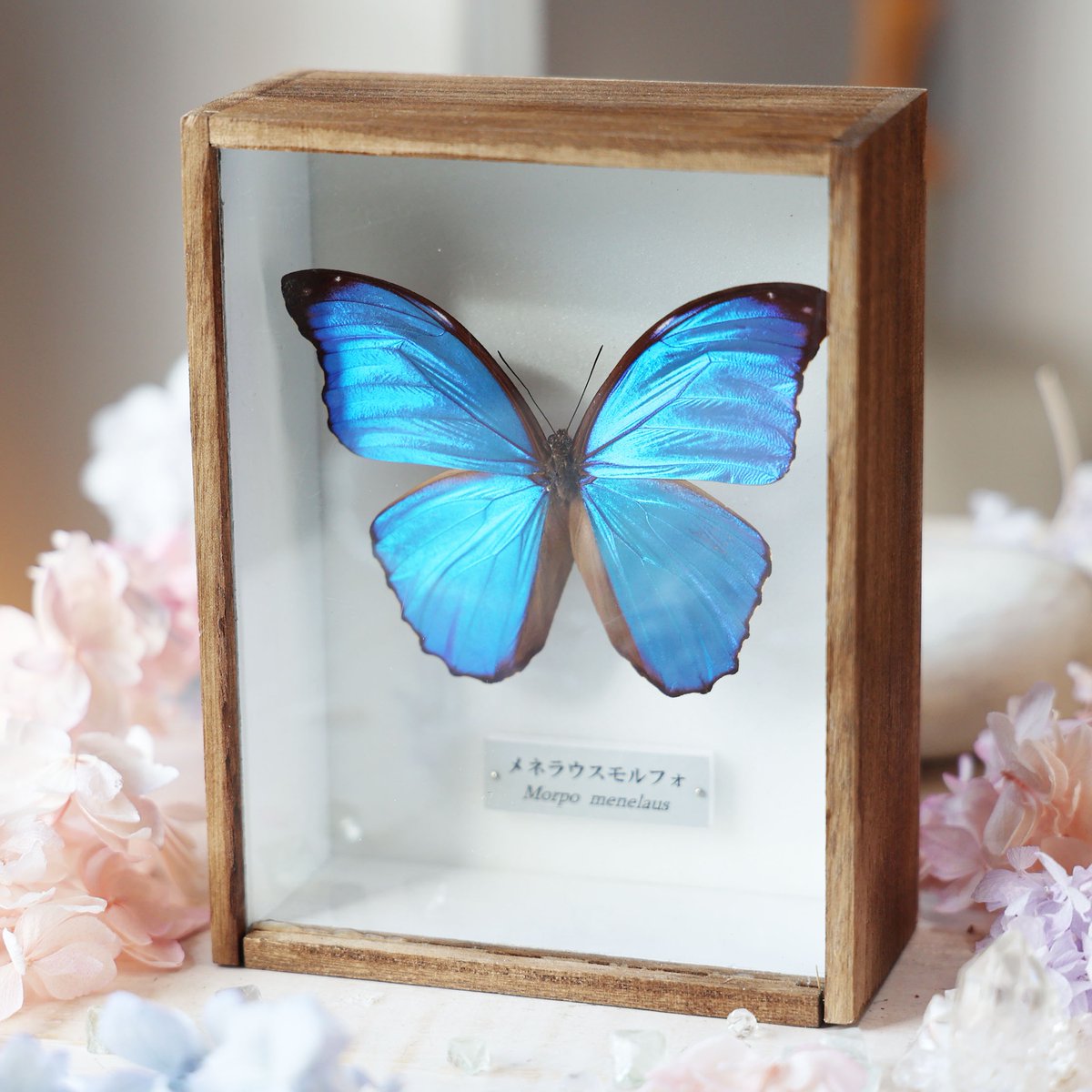 金属工芸　蝶　飾物　6客 1563