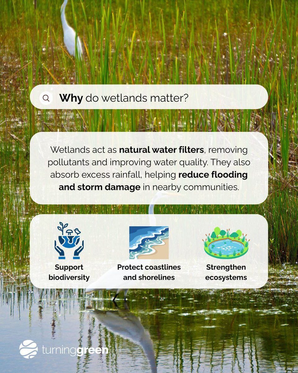 Turning Green tweet media