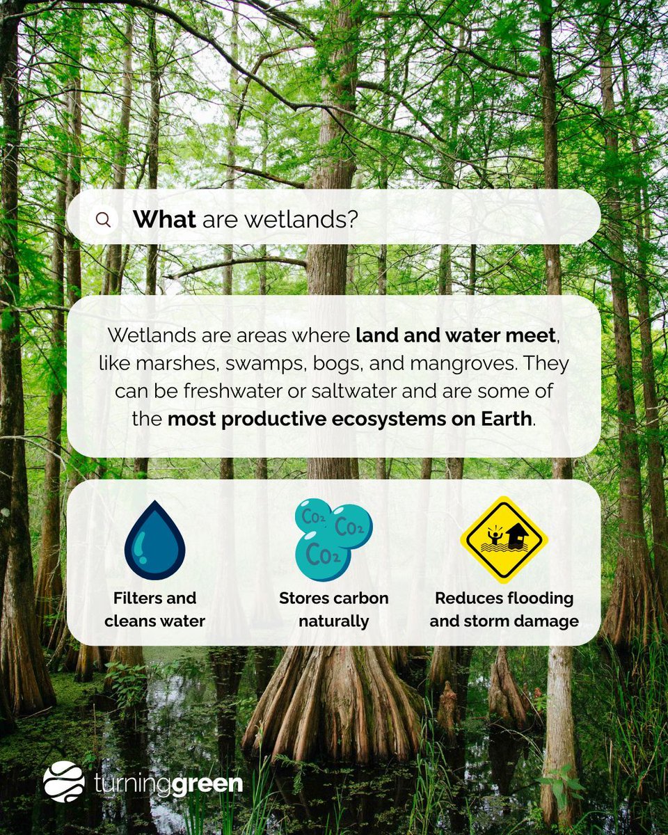 Turning Green tweet media