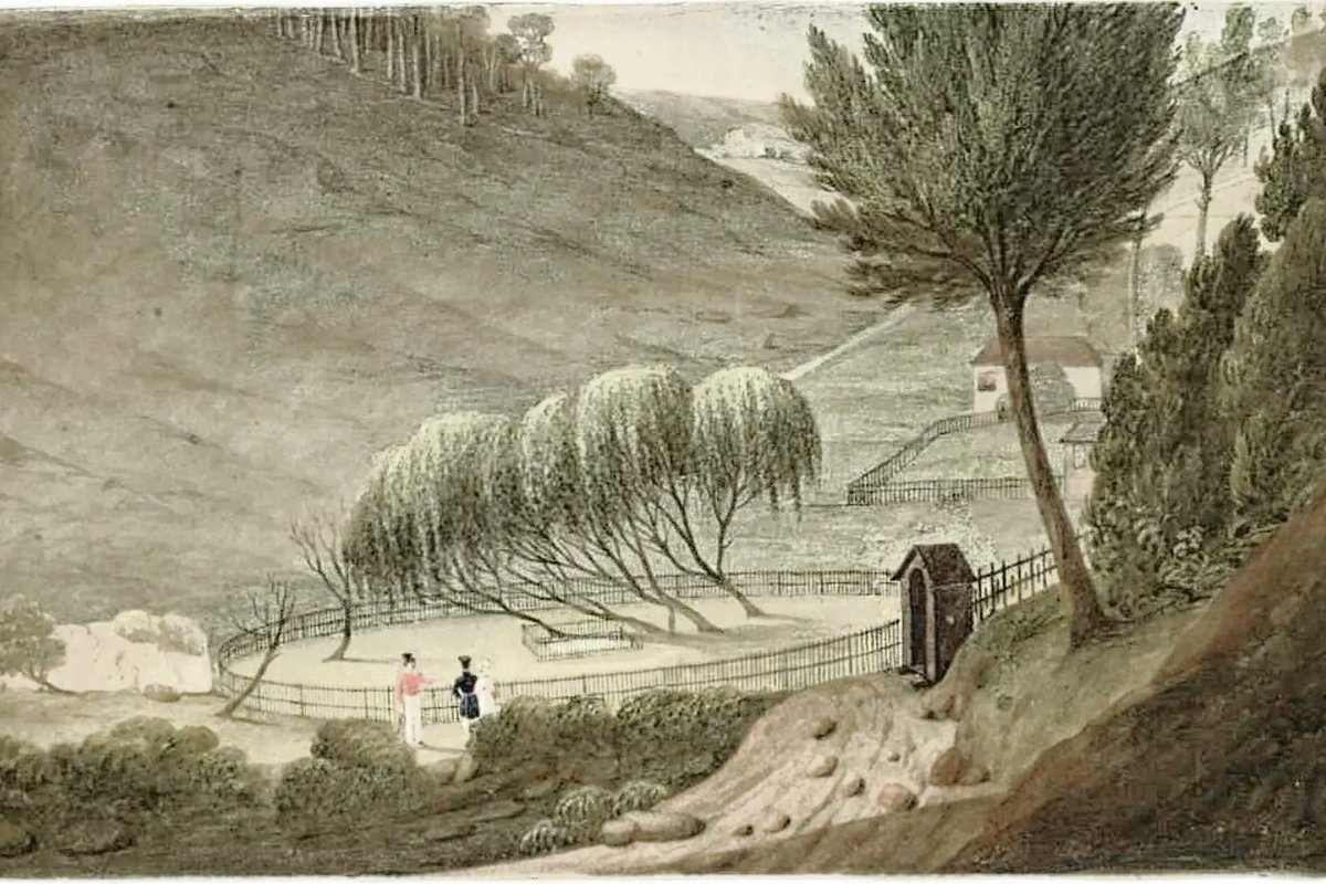 KatjaHeath's tweet photo. Good to see my work with @EmmaGleadhill  on weeping willows and Napoleon’s memory in Australia being taken up in Dubbo Photo News:
 https://t.co/tXimnTOd0l https://t.co/xKuFGQBnfX
