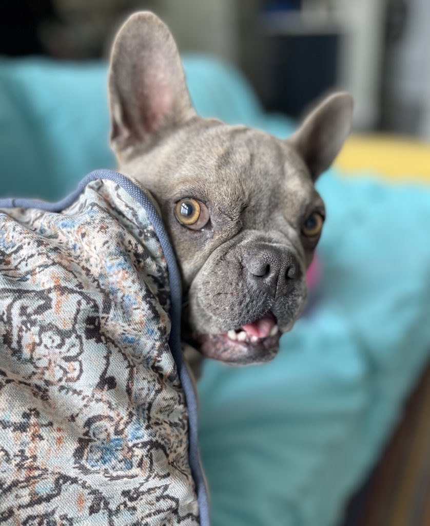 KoffeeKandi tweet media