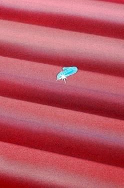 BunUnsupervised's tweet image. 