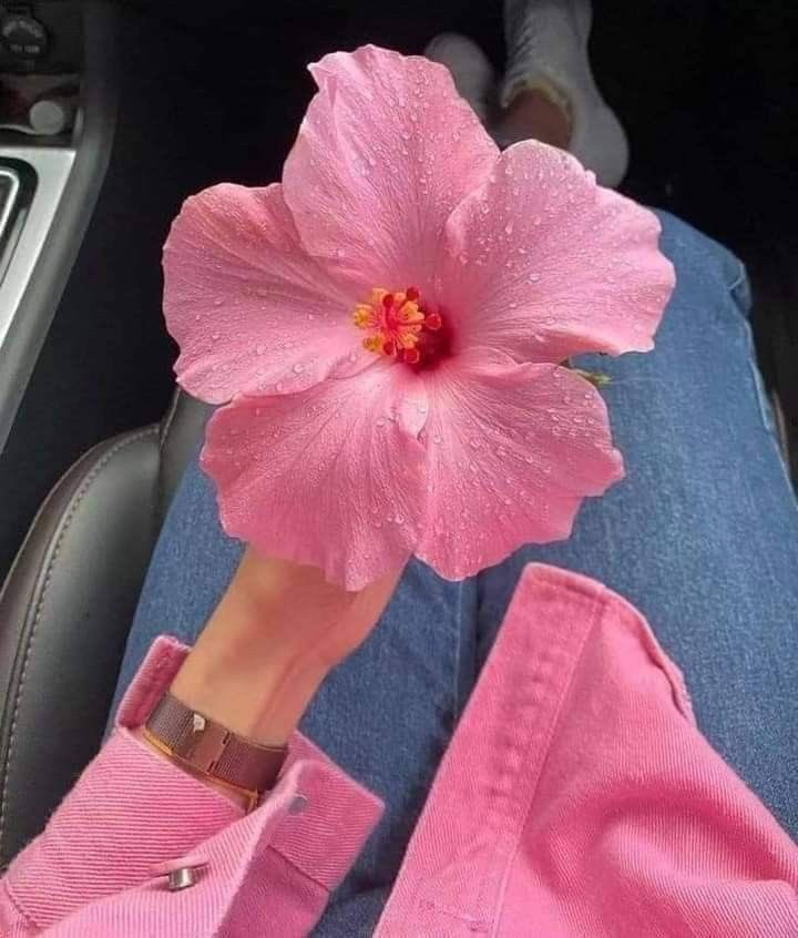 i3Moment's tweet image. 