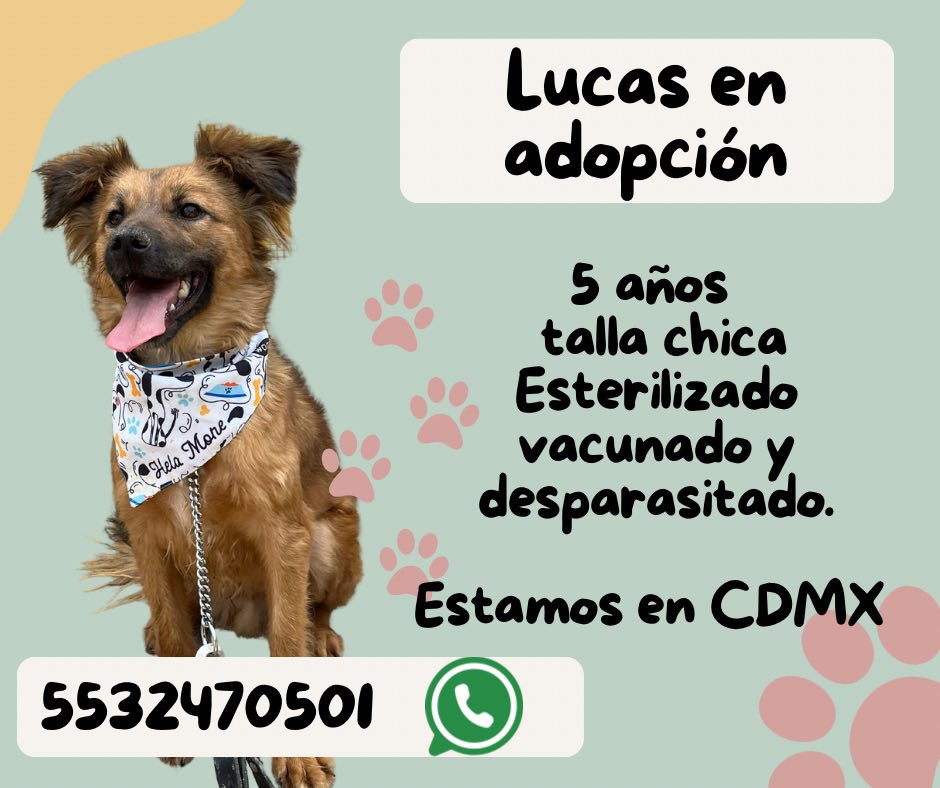 𝙷𝚎𝚕𝚊 𝙼𝚘𝚛𝚎 🐶 (@hela_more) on Twitter photo 