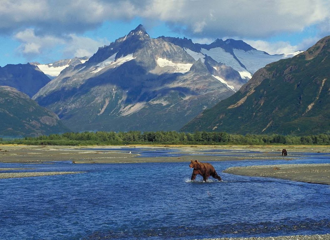 not__dog__'s tweet image. World without end