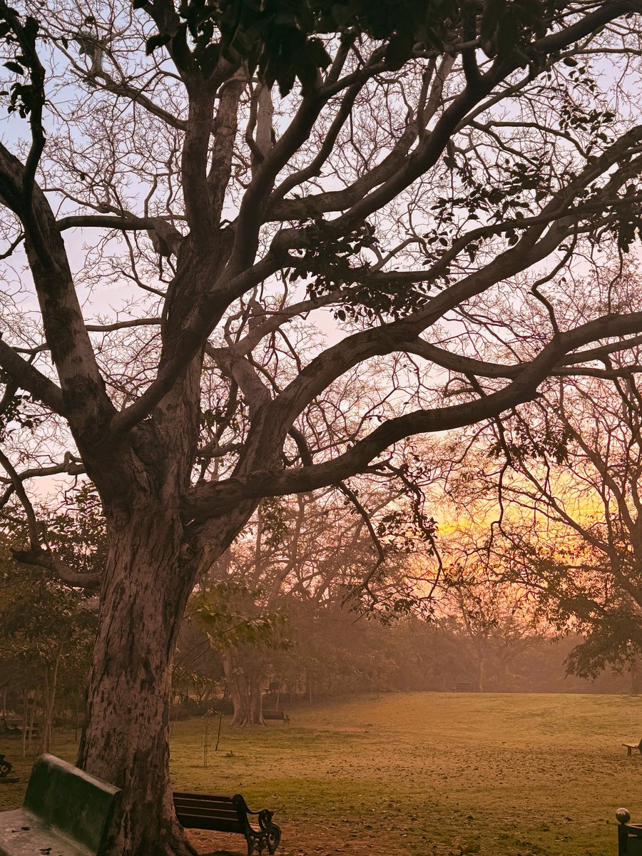 artizzzz's tweet photo. Light is an invitation to happiness, and that happiness, when it's done right, is a kind of holiness, palpable and redemptive.

#TuesdayText
#GoodVibesOnly 
#Light
#Mornings https://t.co/0Q5c5AsBwv