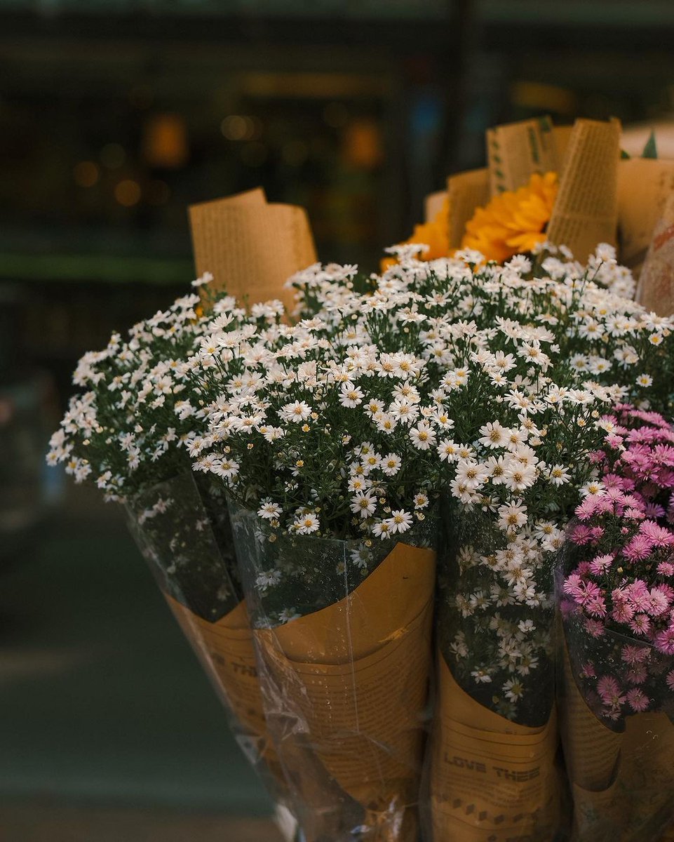 greenvibe's tweet image. 