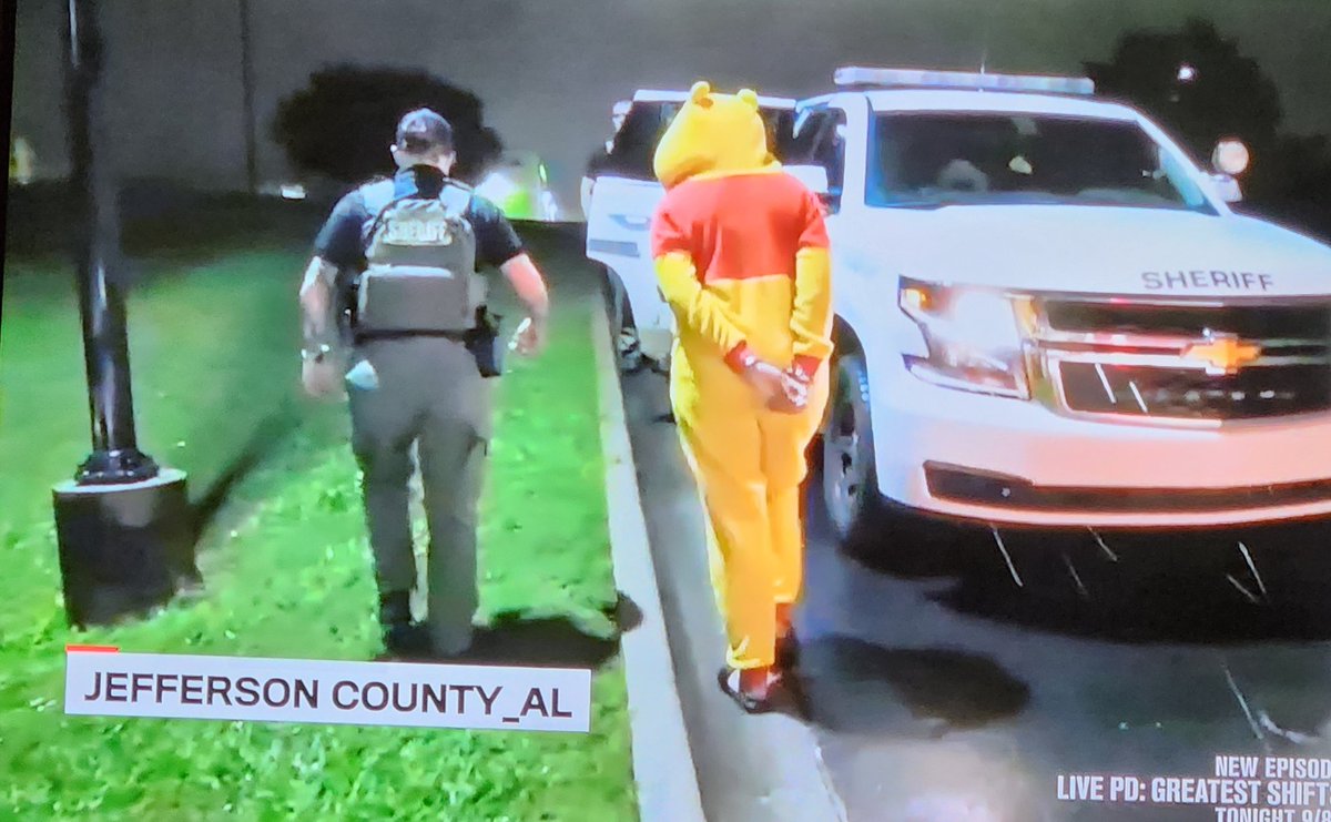RogerMpls's tweet image. It's not on my "to do" list, but if I'm ever arrested for car theft, I really hope that I'm wearing a Winnie the Pooh costume. #LivePD