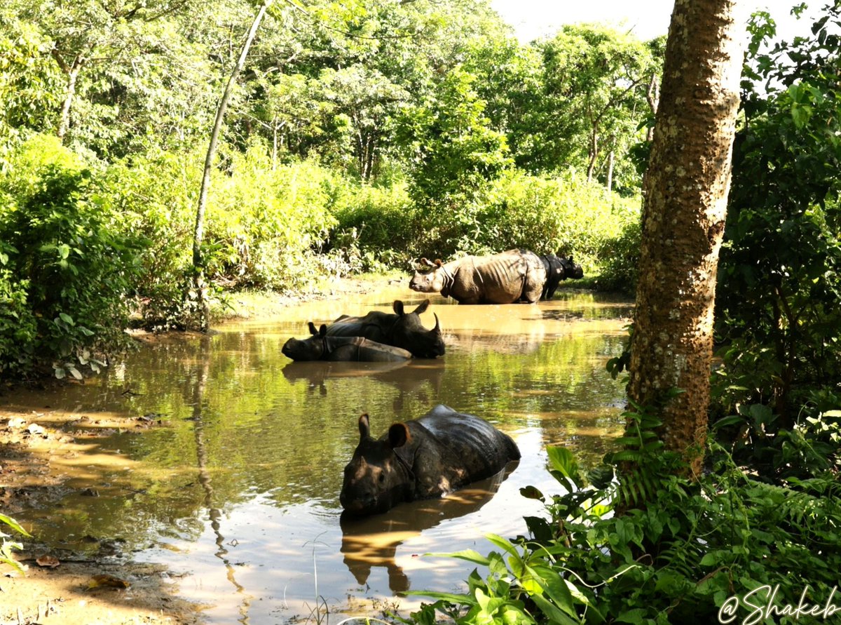 Shakeb Nabi tweet media