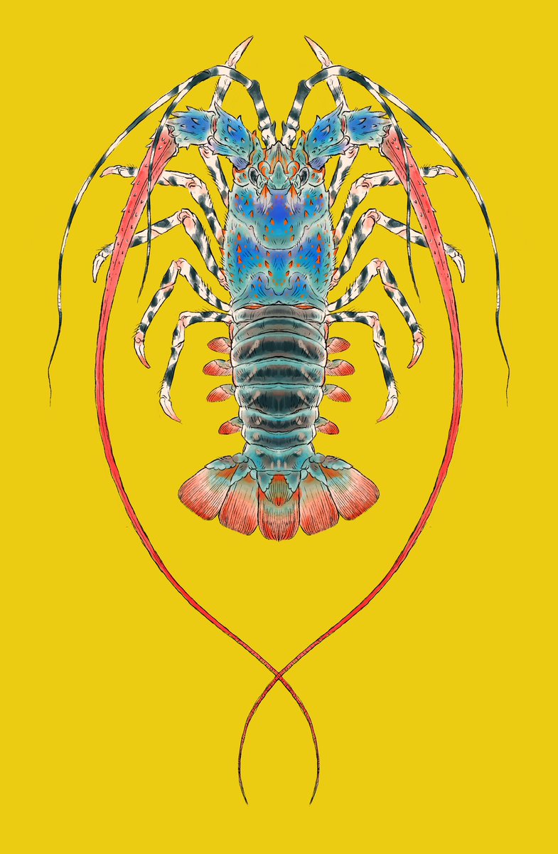 ササキエリンギ (@EryngiiS) / Posts / X