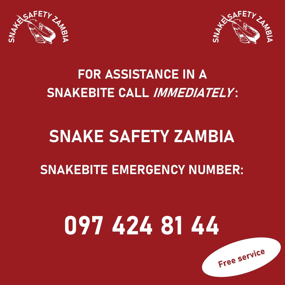 MAD4safari's tweet photo. For Zambia 🇿🇲 https://t.co/kven715LPM