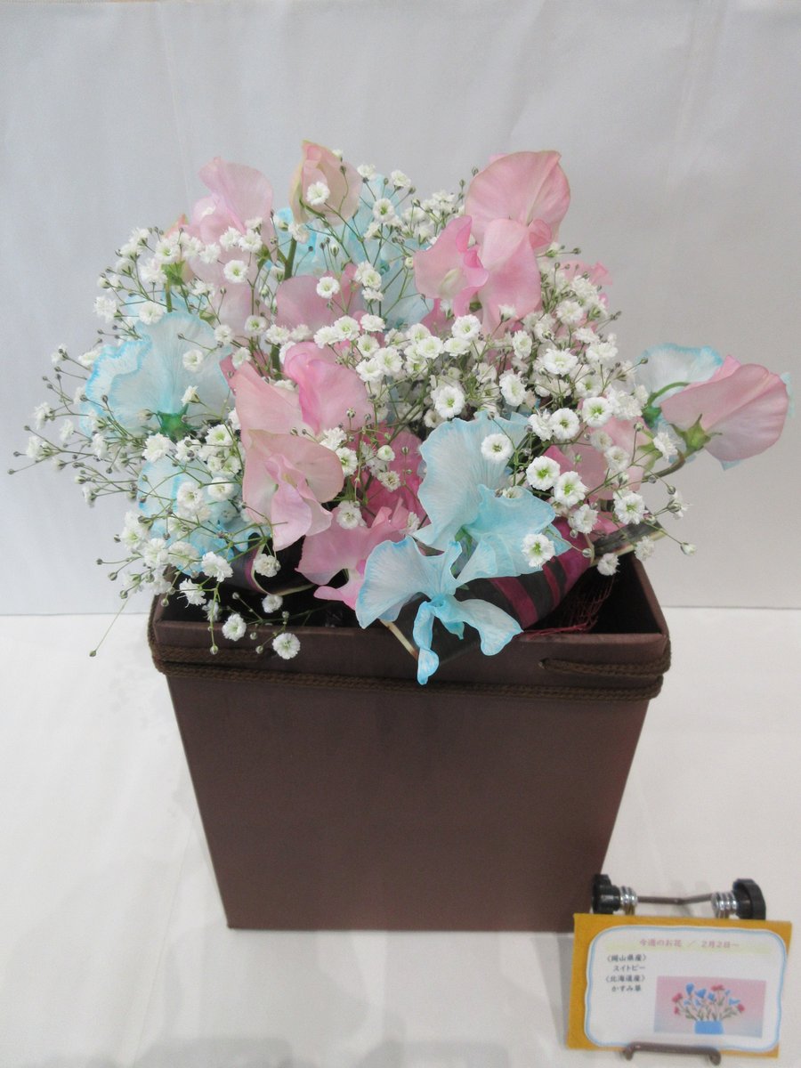 スイートピーの花言葉：恋のたのしみ＞ 岡山第2合同庁舎1階「消費者