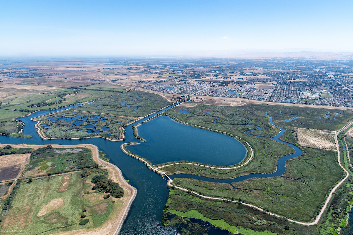 CA_DWR's tweet image. In celebration of World Wetlands Day, we wanted to share some photos from a few of our recent restoration projects that benefit the State Water Project which provides water to 27 million Californians as well as agriculture and businesses.

#worldwetlandsday #water #restoration