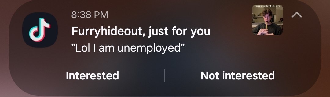 Furryhideout tweet media