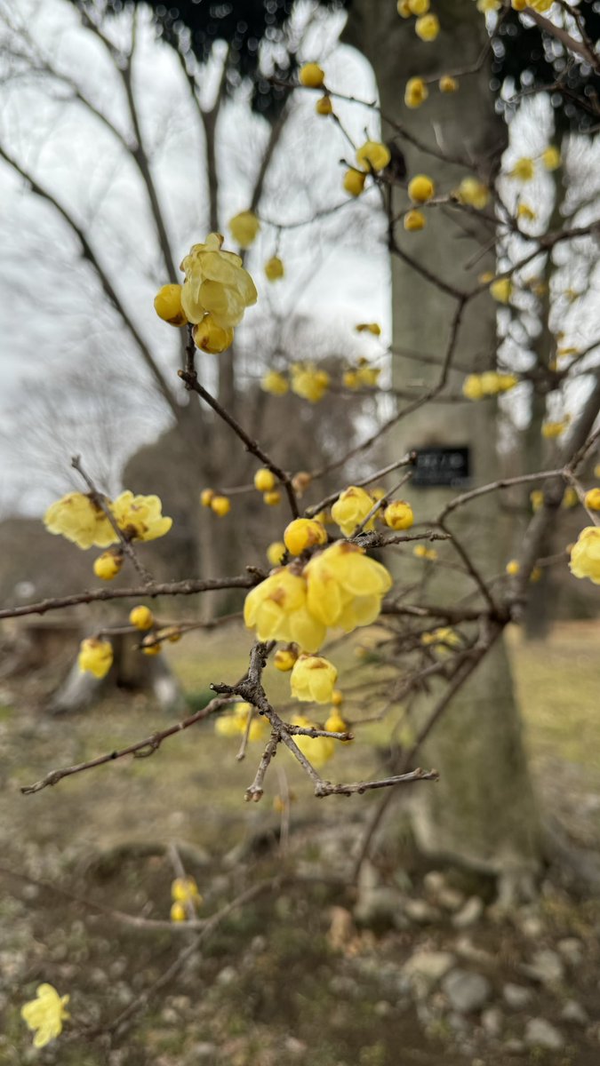 namimintmick tweet media