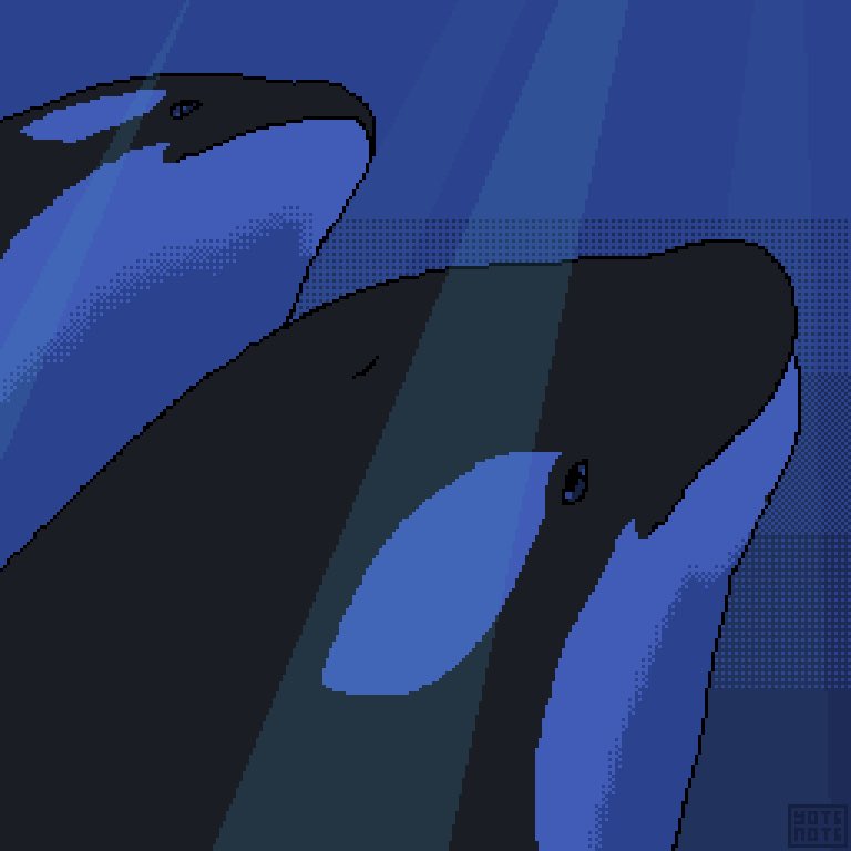 orca