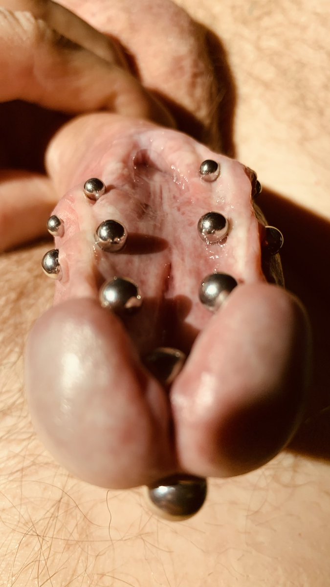 CuriousKid tweet media