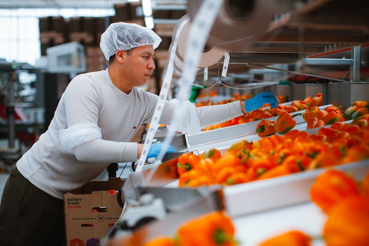 The Grower tweet media