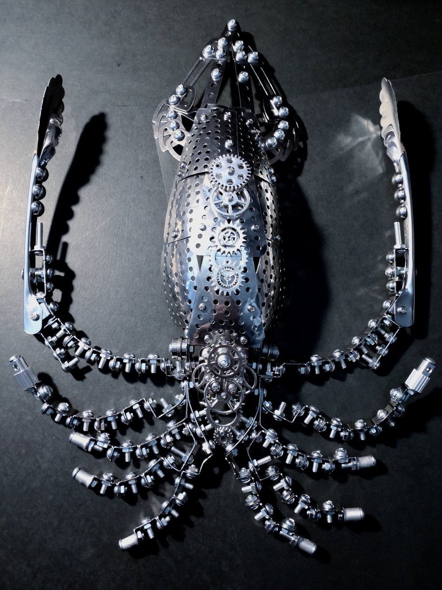 #これを見た人は食べられない食べ物晒してくれ 
歯が欠けるくらい固いイカ🦑