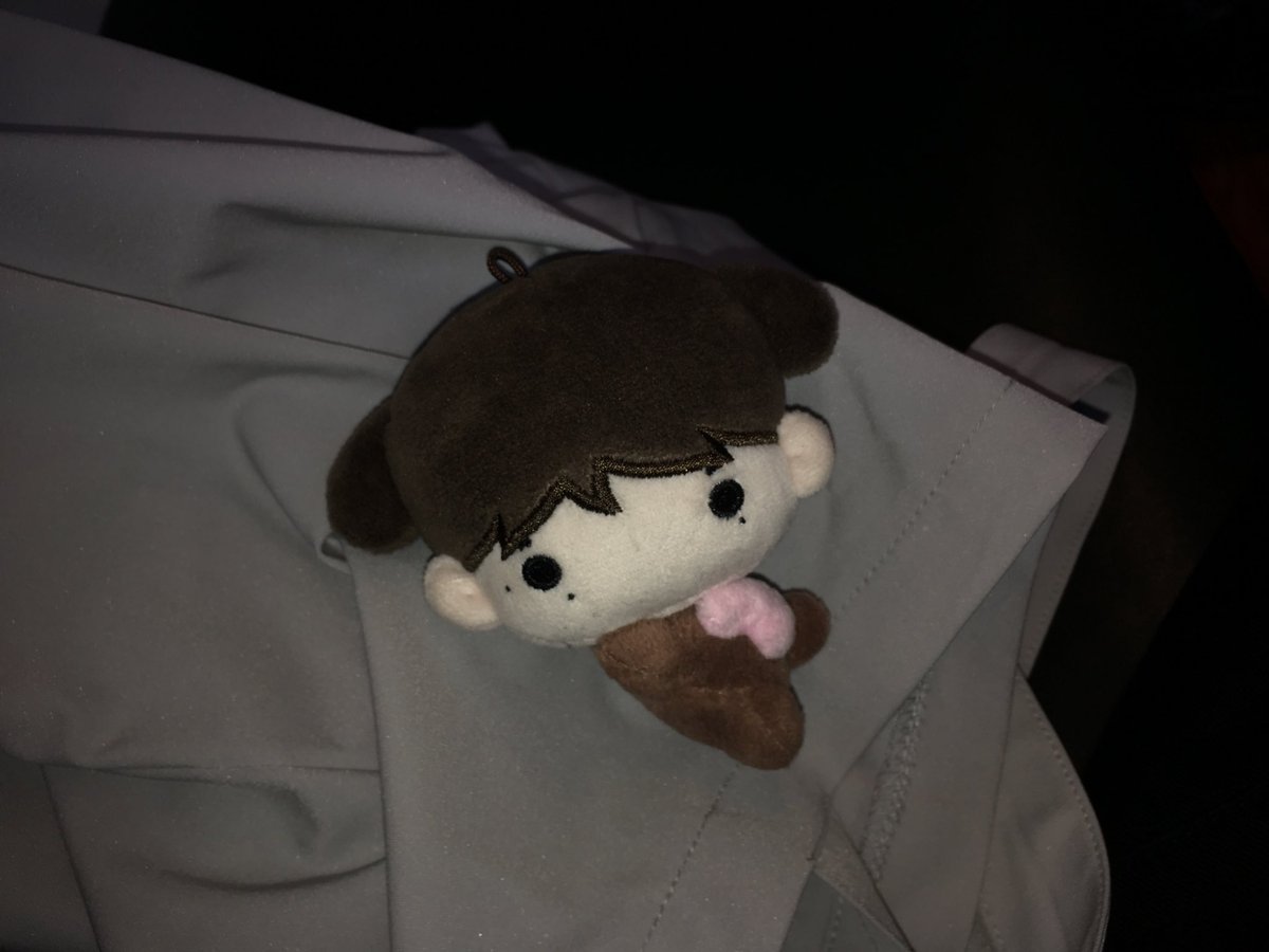 눕토니 판매는 이번주 일요일까지입니다 ~ 🐾