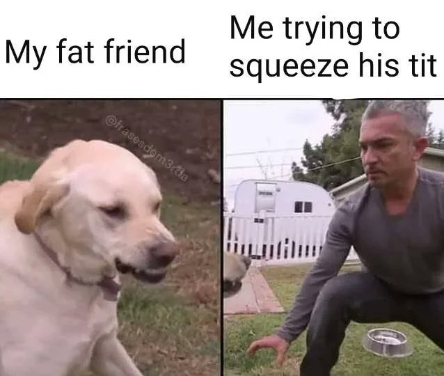 A_person_with_ opinions 🌎🌍🌏🟣 tweet media