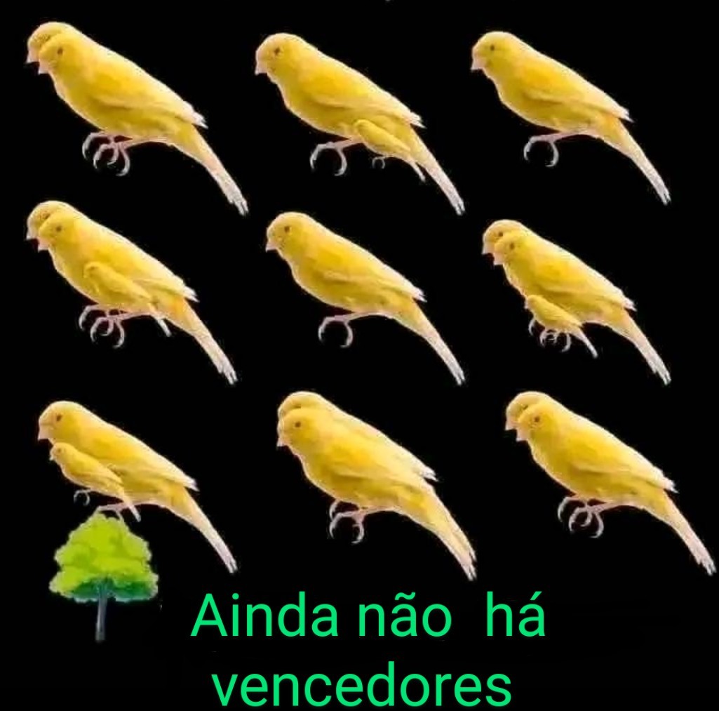 Leonel Ferreira -mais justiça para o BRASIL⚖️♎🇧🇷 tweet media