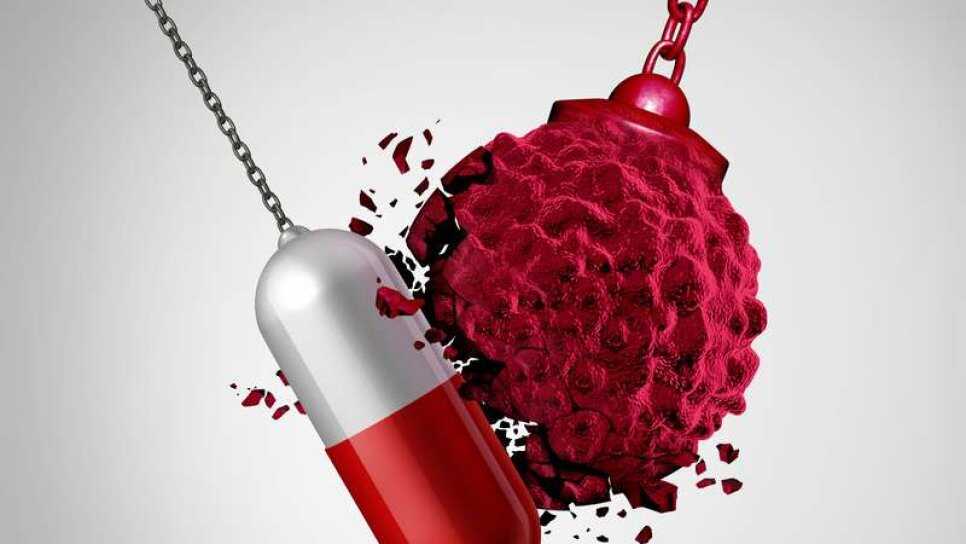 Lider.🇹🇷 tweet media