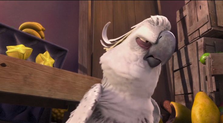 Trans Da Linn da quebrada 🏳️🌈 tweet media