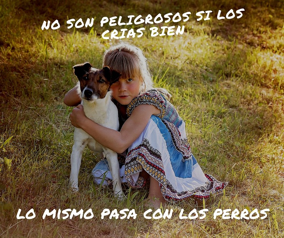 SOS Fauna Mérida tweet media