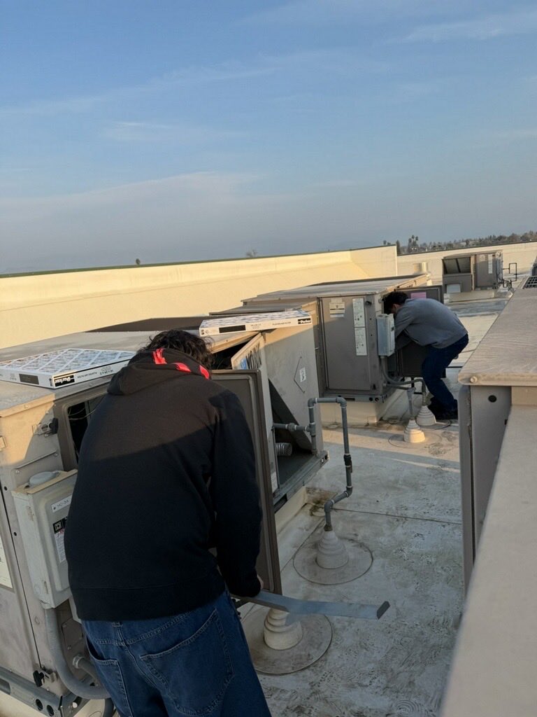 SUMMIT COLLEGIATE HIGH SCHOOL tweet media