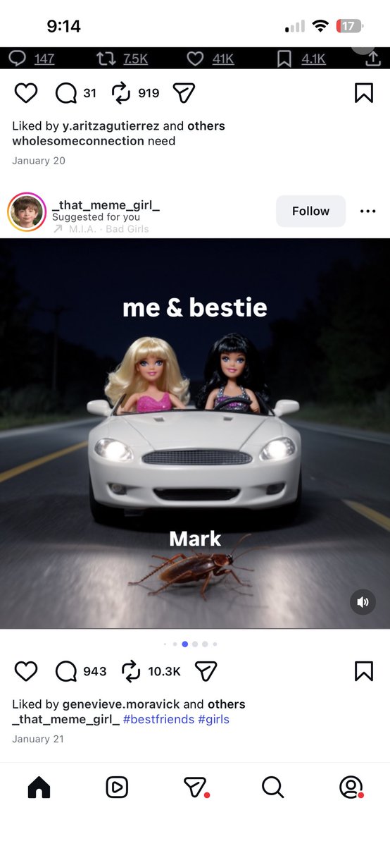 ceramic chicken fan tweet media