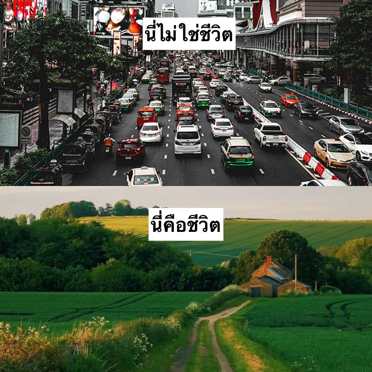 ความเป็นจริง