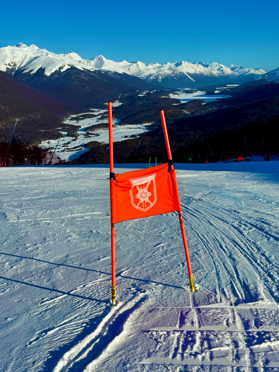 Carolyn Beckedorff tweet media