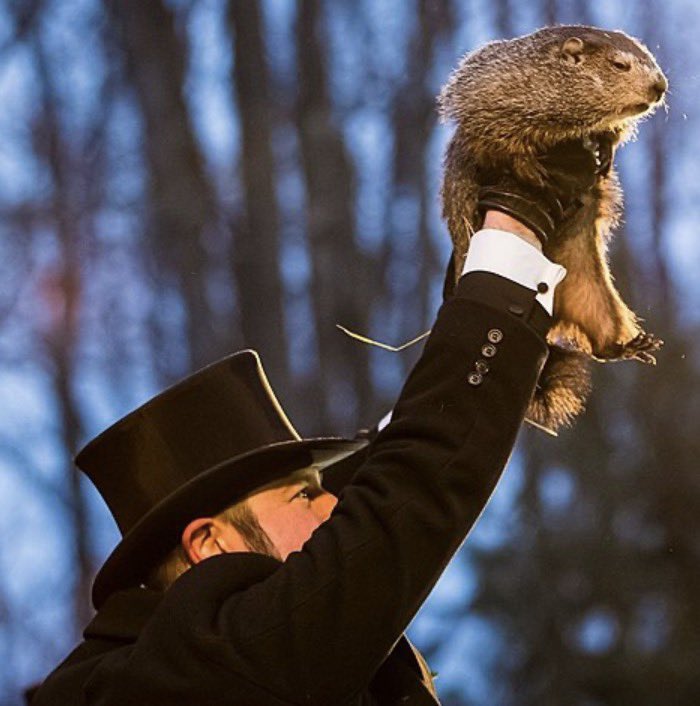 BREAKING: Punxsutawney Phil has confirmed the Sacramento Kings will spend the next 78 years making bad moves to undo earlier bad moves.