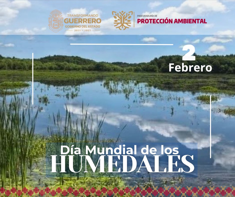 Cada 2 de febrero se conmemora el Día Mundial de los Humedales, una fecha dedicada a concientizar sobre la importancia de estos ecosistemas y promover acciones para su conservación y uso sostenible.