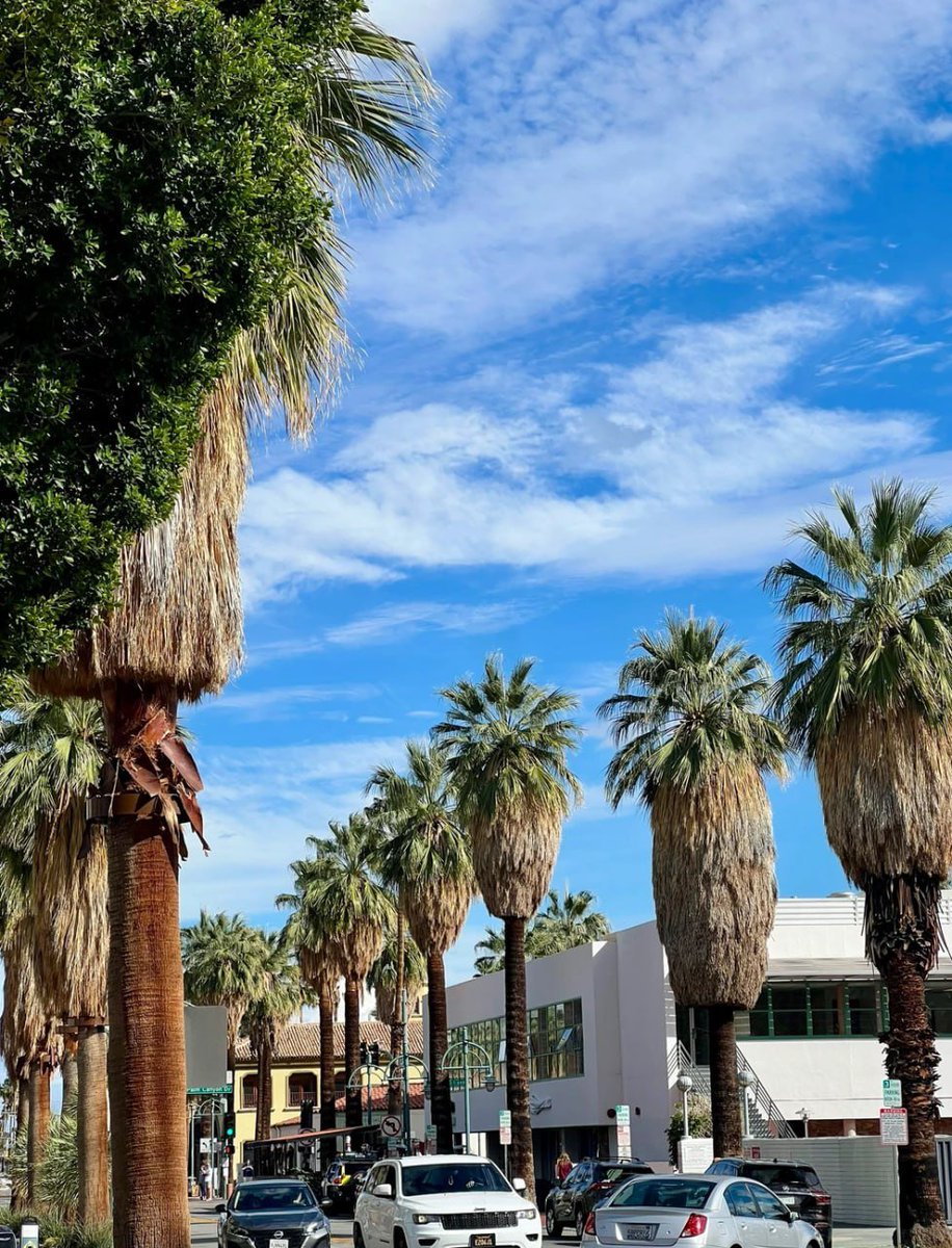 Rhaela90k's tweet photo. You absolutely must visit downtown Palm Springs 🌴 Palm Springs, a quiet resort town just two hours from downtown LA, is a peaceful oasis amidst the bustling city https://t.co/fUAnp8PZEX