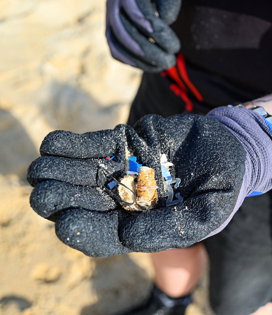 PipeManagement's tweet photo. Over the weekend, PMA took part in a local beach clean-up supporting turtle hatchlings on the Sunshine Coast. 🐢 #CleanUpForTheHatchlings #SunshineCoast #PlasticFree #DrainBuddy #SunshineCoast https://t.co/xNaKfkCy4T